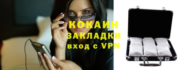 индика Балахна