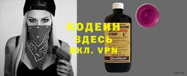 индика Балахна