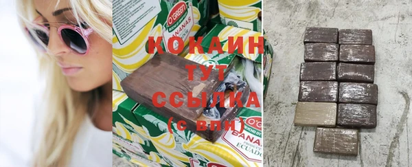 индика Балахна