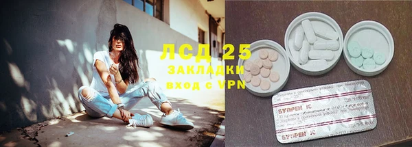 индика Балахна